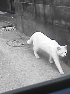 e0004255_2111743.jpg