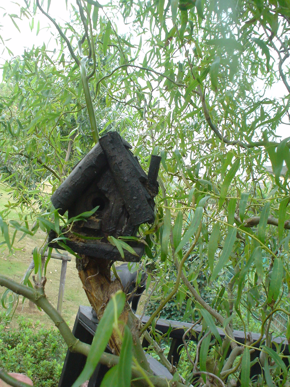 e0090956_20395334.jpg