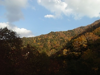 b0071558_21293325.jpg