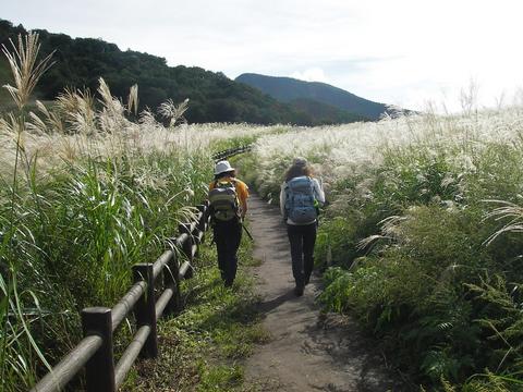 c0085163_21261423.jpg