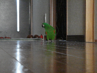a0087164_20445011.jpg