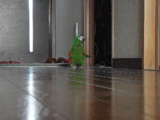 a0087164_2045790.jpg