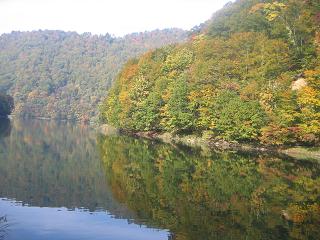 c0007266_8372955.jpg