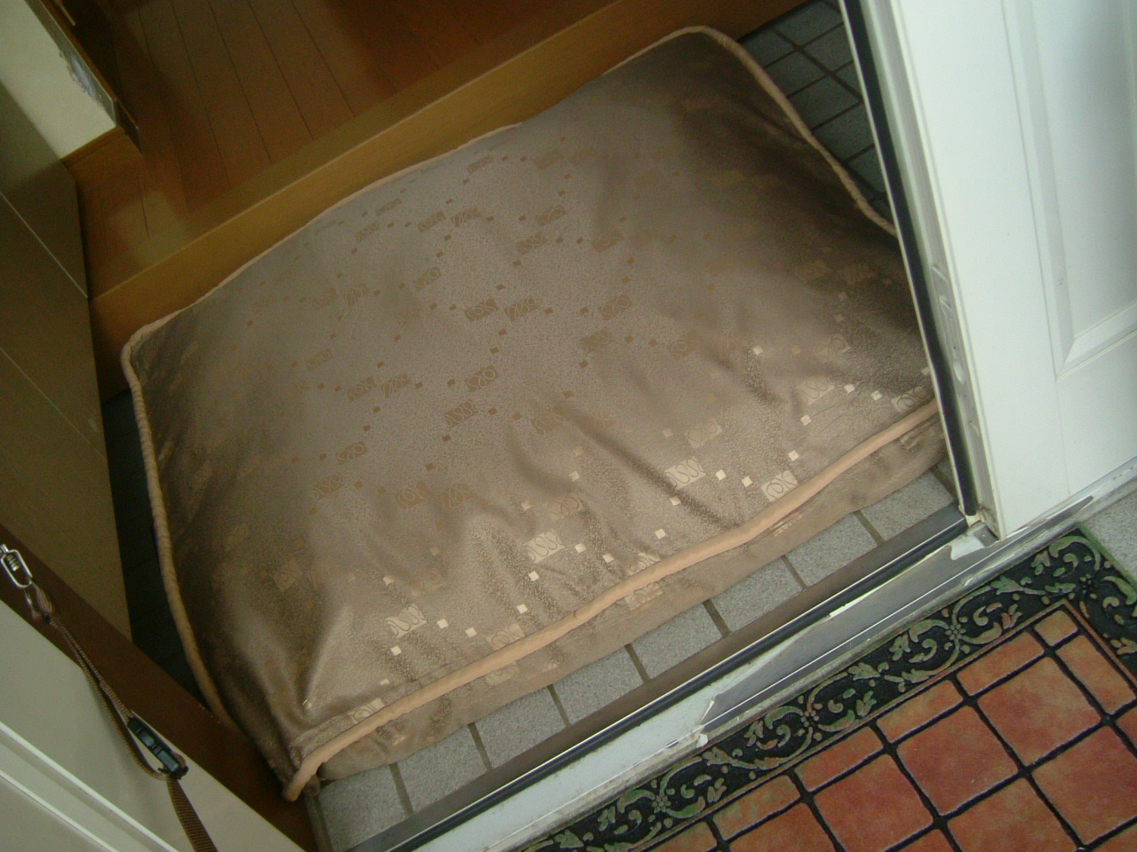 c0082567_229553.jpg