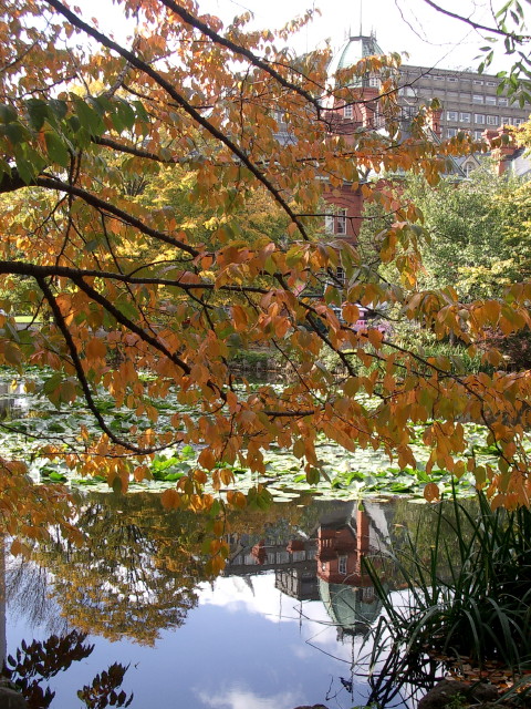 e0100772_22112860.jpg