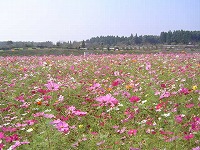 e0100275_10121527.jpg
