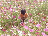 e0100275_10181569.jpg
