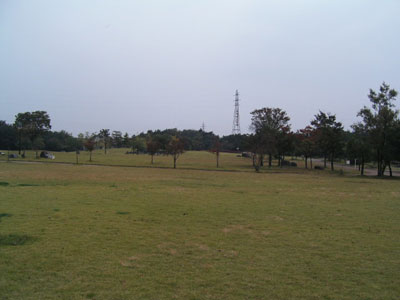 e0066883_1891073.jpg