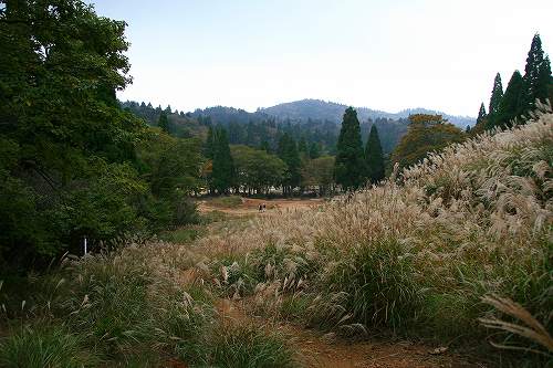 f0073587_053575.jpg