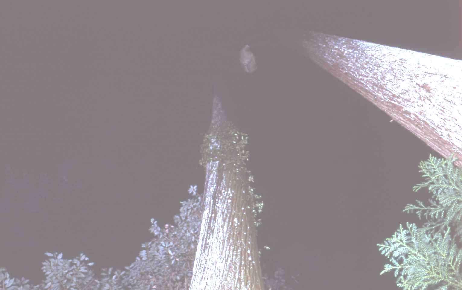 f0047593_1475610.jpg