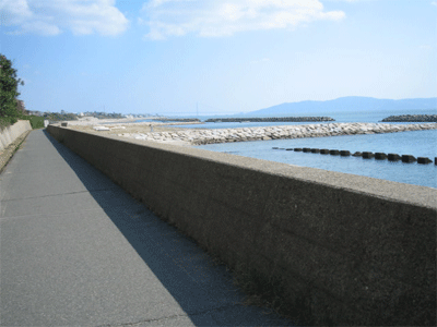 b0108100_18251967.gif