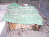 f0054411_11585153.jpg