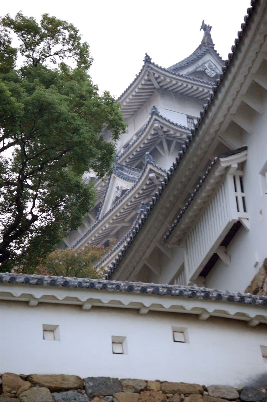 d0040314_055179.jpg