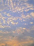 c0054118_21222156.jpg