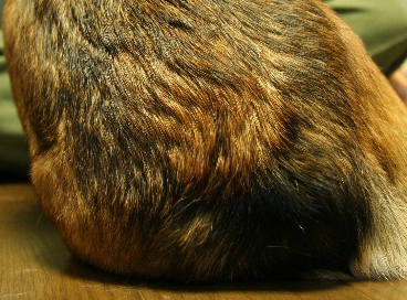 e0071225_2331215.jpg