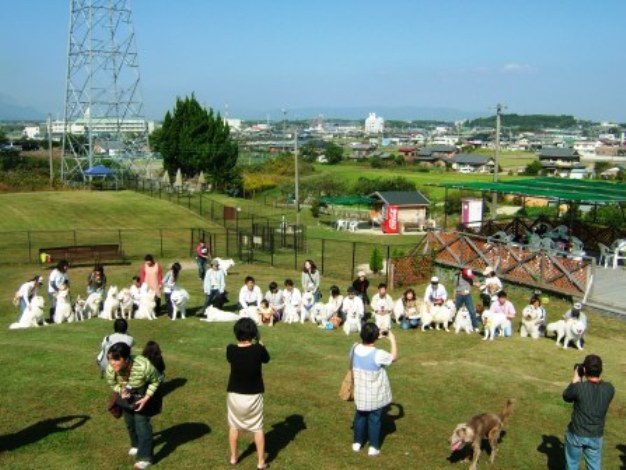 e0024126_2228015.jpg