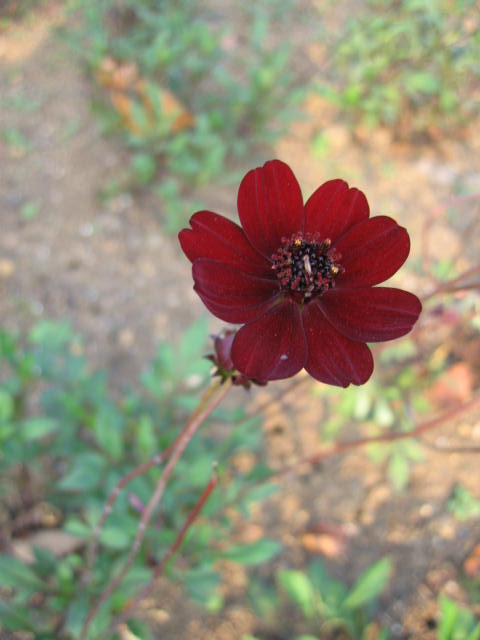 b0088037_2347178.jpg