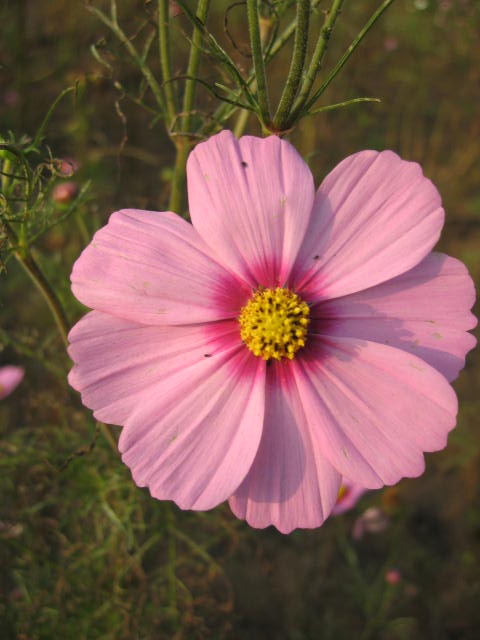 b0088037_23474380.jpg