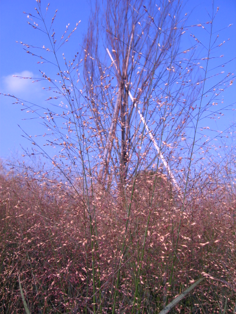 b0088037_235322100.jpg