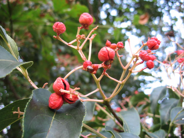 b0088037_23563694.jpg