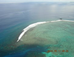 c0023545_2225874.jpg