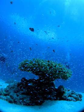 d0065247_23334919.jpg