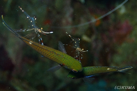 e0027447_0145921.jpg