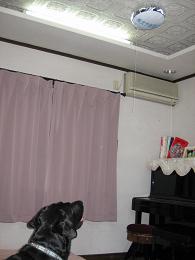 f0093459_20472945.jpg