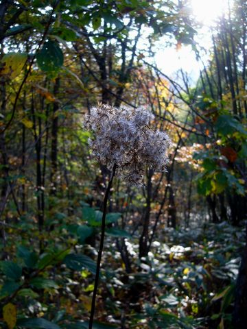 b0015260_22341643.jpg