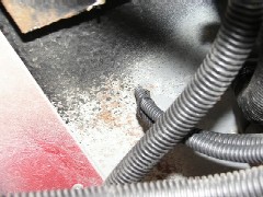 f0036962_1110953.jpg