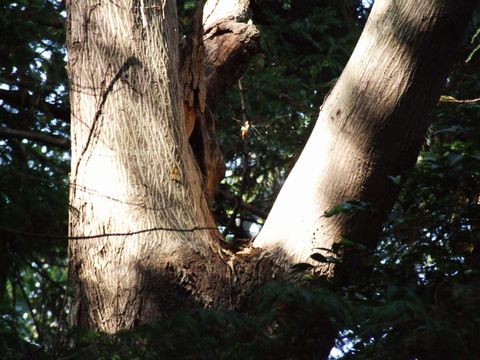 a0009666_1747424.jpg