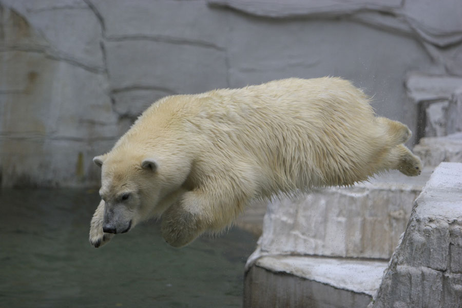 e0060169_6512593.jpg