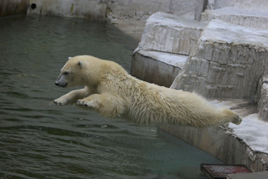 e0060169_6513818.jpg