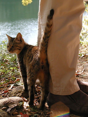 d0002472_2155279.jpg