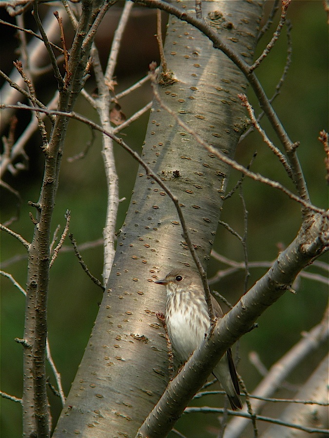 e0015377_2022681.jpg