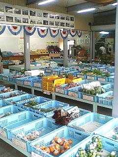f0054677_10315542.jpg