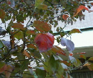 f0018790_23421567.jpg