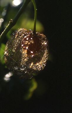 d0025894_001941.jpg