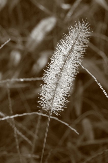 c0084097_22374129.jpg