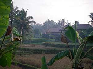 a0036499_1751786.jpg