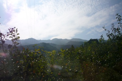f0036700_2153155.jpg