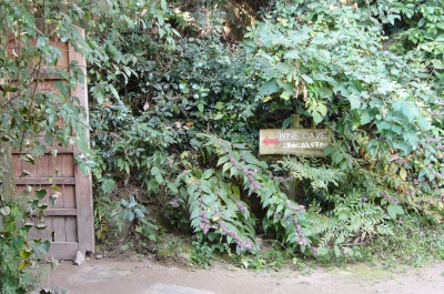 f0036700_21542677.jpg