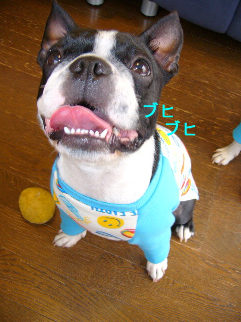 d0070702_10572797.jpg