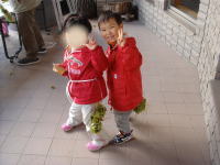 a0053203_627355.jpg