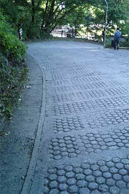 f0036603_1931246.jpg