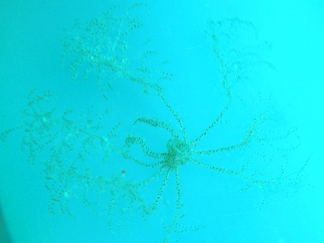 a0082706_11293382.jpg