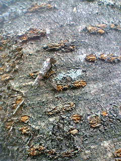 c0032006_17464665.jpg
