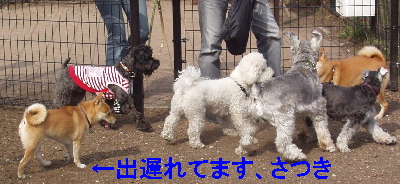 f0004309_22274235.jpg