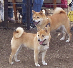 f0004309_22322881.jpg