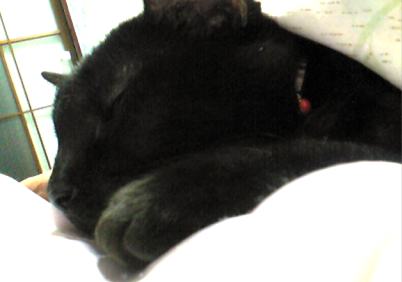 c0027311_11234523.jpg